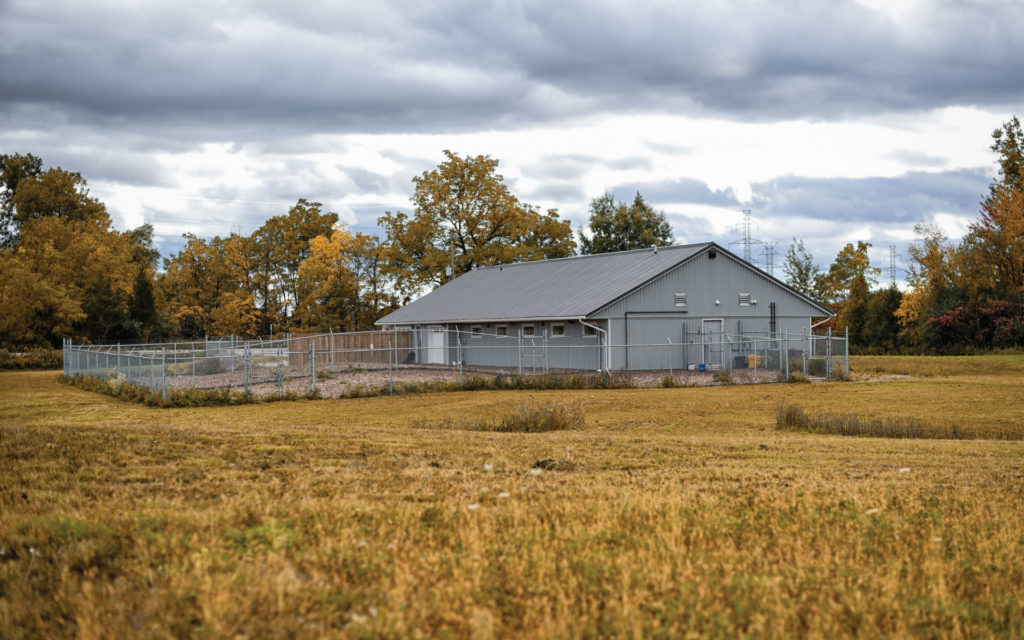 Pet Boarding in London, Ontario Companions Pet Resort