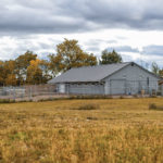 Companions Pet Resort